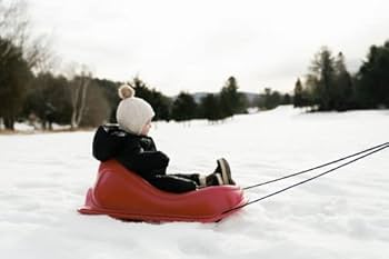 Amazon.co.jp: Pelican ベビーそり デラックス ウェザーシールド付き